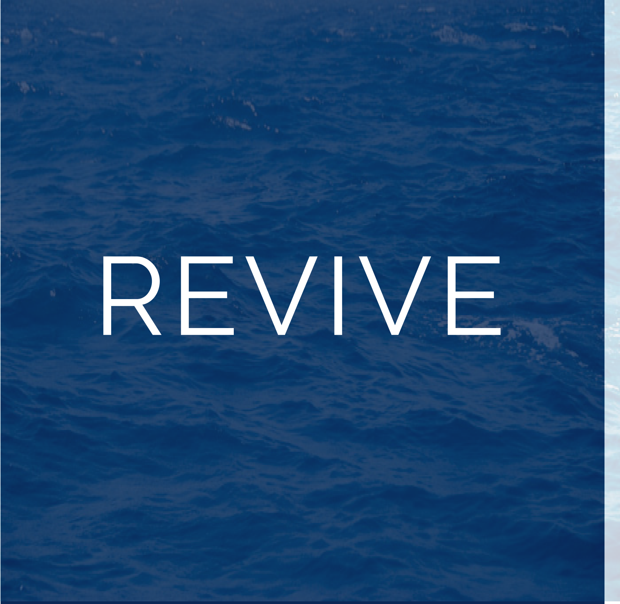 An icon representing Revive